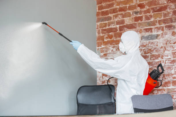 Best Comprehensive Air Testing for Mold Contaminants  in Baden, MD