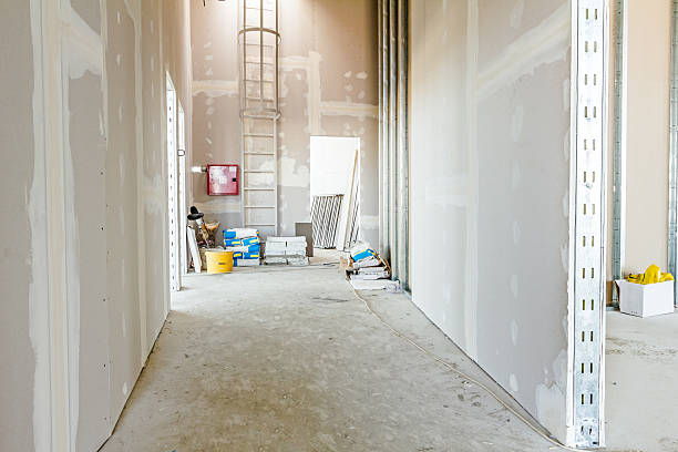 Best Crawl Space Mold Remediation  in Baden, MD