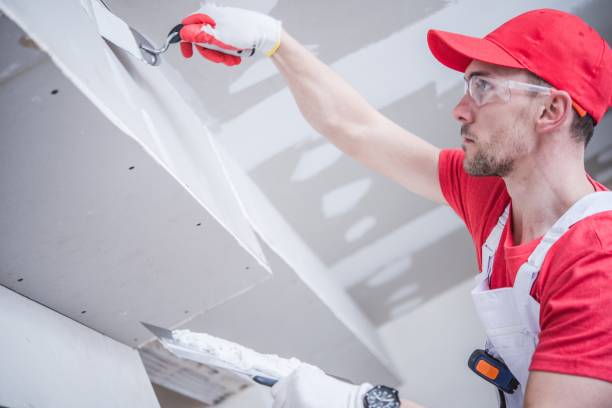 Best Emergency Mold Remediation  in Baden, MD